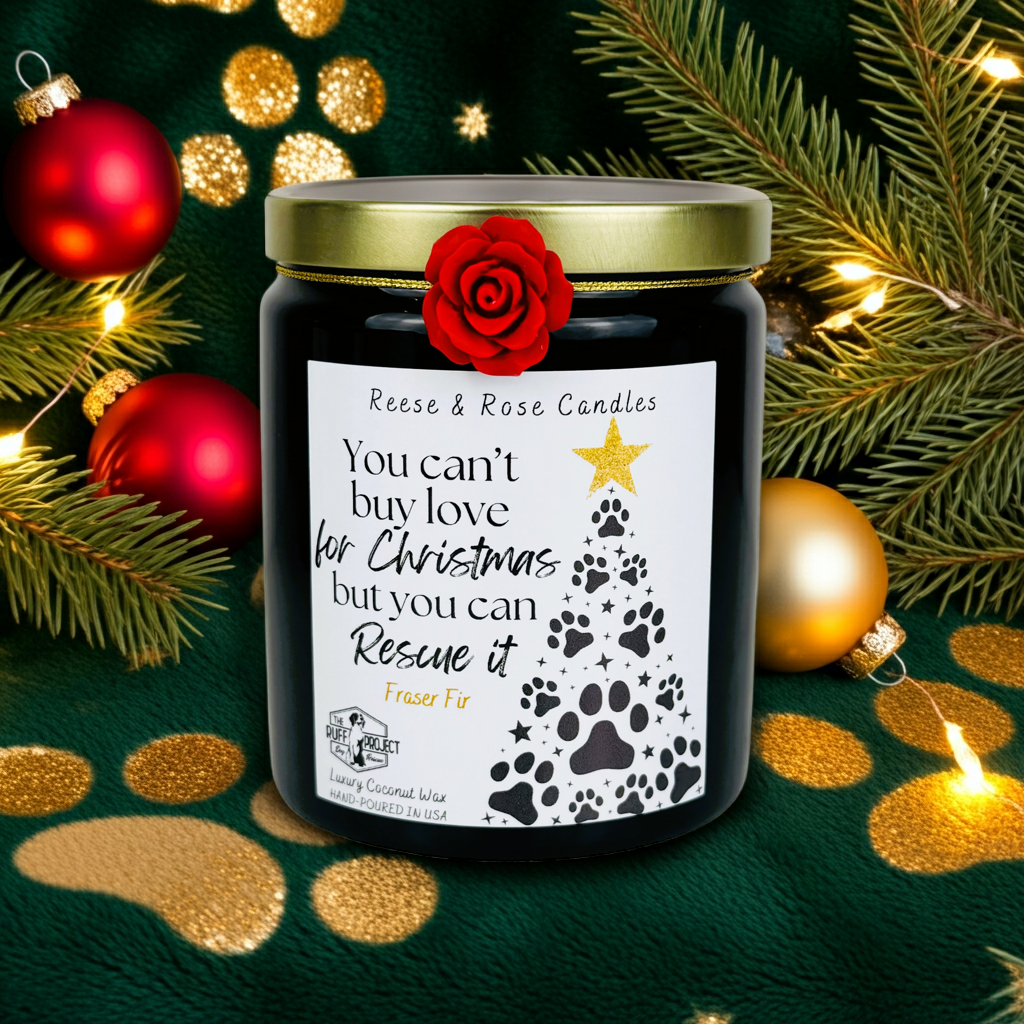 You Can't Buy Love But You Can Rescue It Luxury Coconut Candle